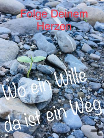 Wo ein Wille ist ein Weg