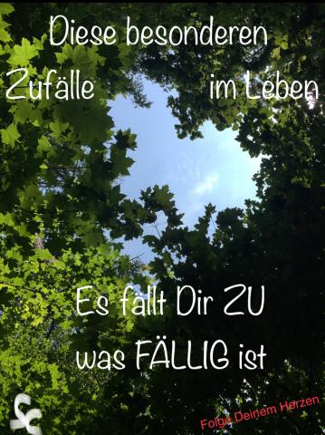 Zufall - es fällt Dir ZU was FÄLLIG ist