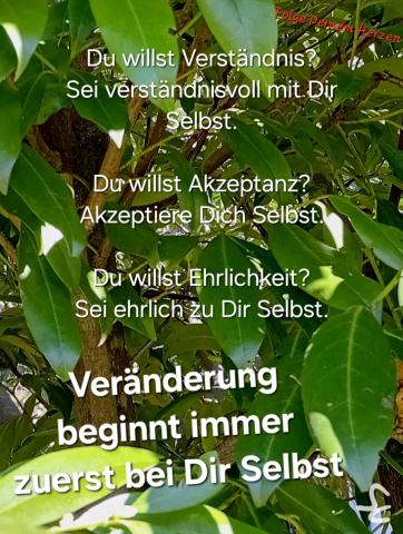 Veränderung beginnt bei Dir Selbst