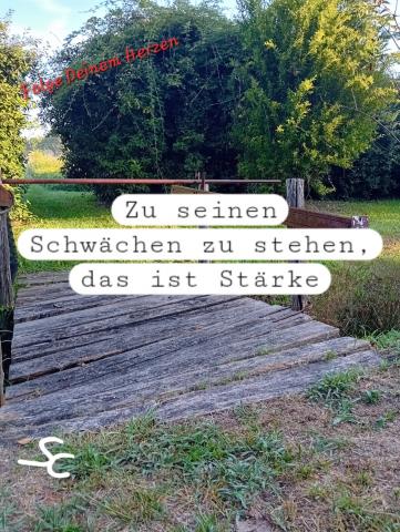 Zu Seinen Schwächen zu stehen, das ist Stärke