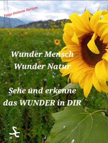 Sehe und Erkenne das Wunder in DIR