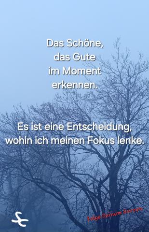 Das Schöne, das Gute im Moment erkennen