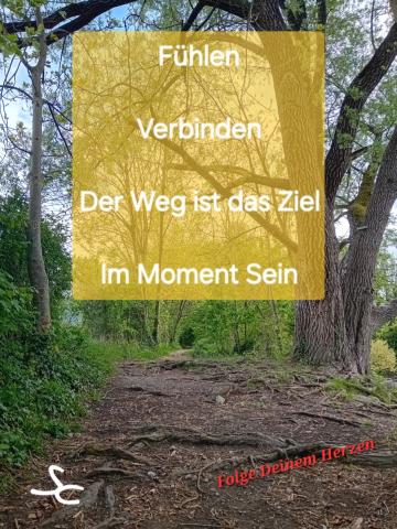 Fühlen, Verbinden, Im Moment Sein
