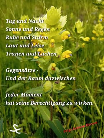 Jeder Moment hat seine Berechtigung zu wirken