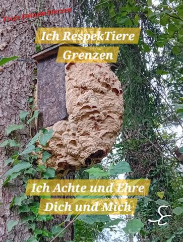 RespekTiere Grenzen