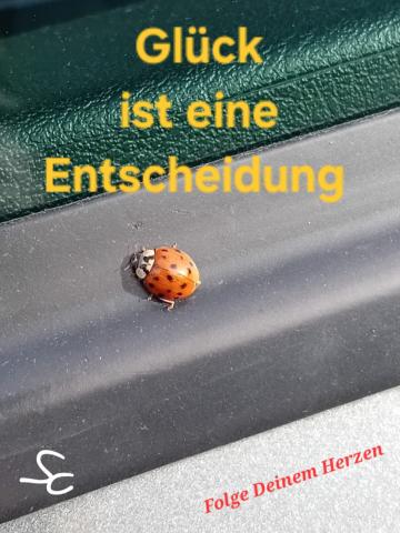 Glück ist eine Entscheidung